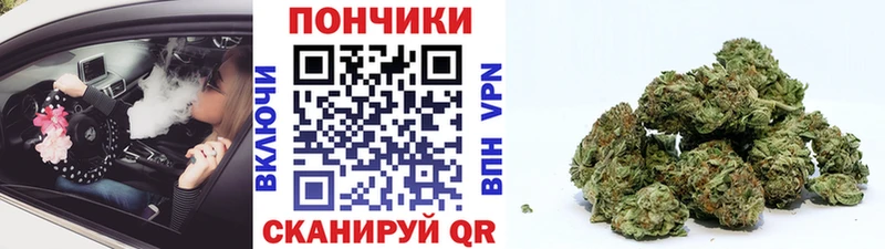 Где можно купить наркотики Майкоп OMG ONION  Канабис  Мефедрон  Гашиш  A-PVP 