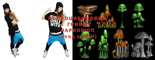мдпв Киров