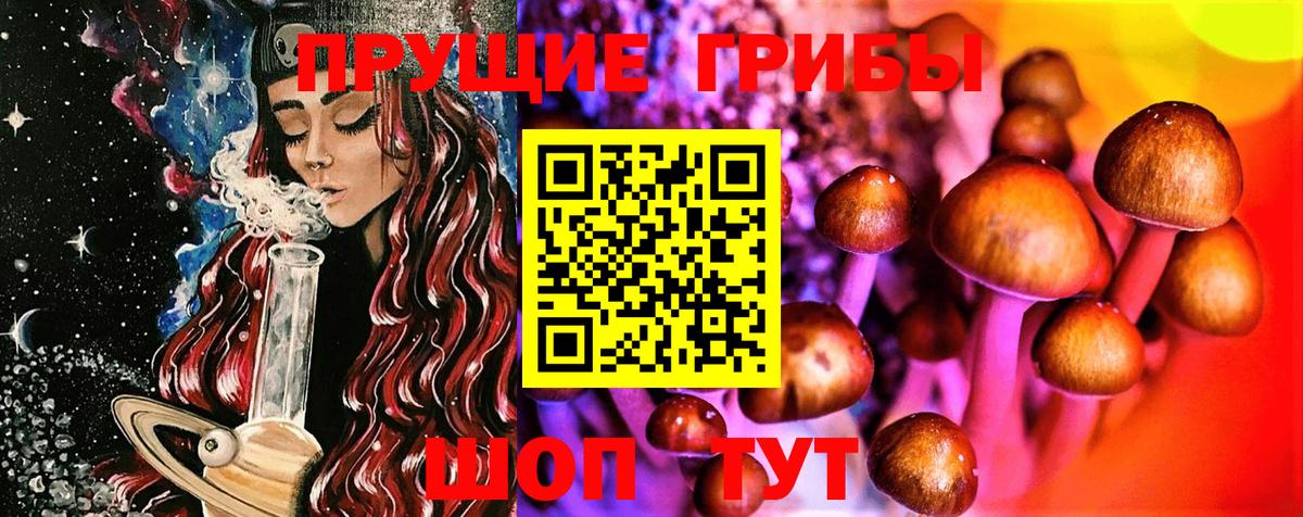 Псилоцибиновые грибы ЛСД  Майкоп  Псилоцибиновые грибы MAGIC MUSHROOMS 