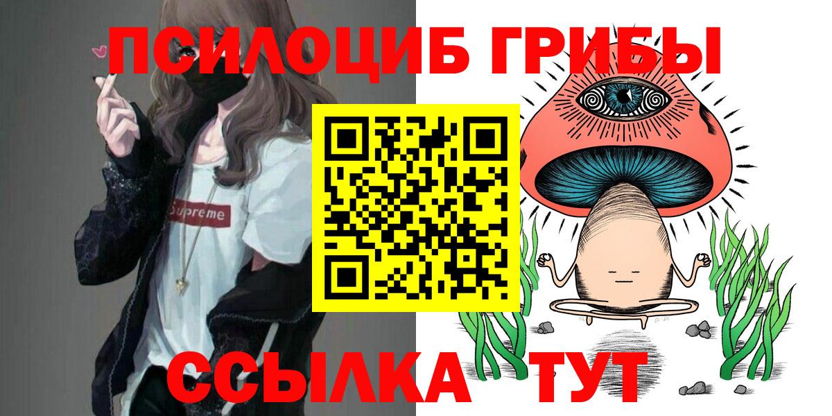Галлюциногенные грибы Cubensis Майкоп