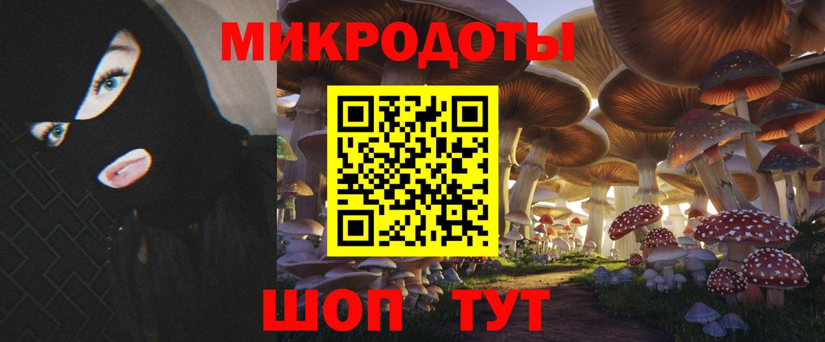 Майкоп  Псилоцибиновые грибы Psilocybe  Псилоцибиновые грибы Psilocybe  Вход с VPN 