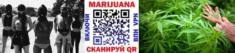 МАРИХУАНА планчик  цены   Майкоп 